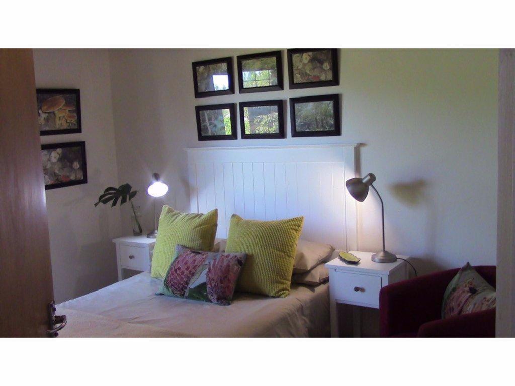 Forest Nest Cottage, Tsitsikamma Stormsrivier Kamer foto