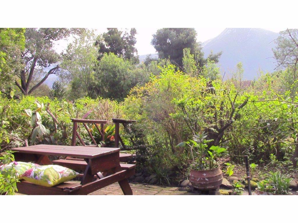 Forest Nest Cottage, Tsitsikamma Stormsrivier Buitenkant foto