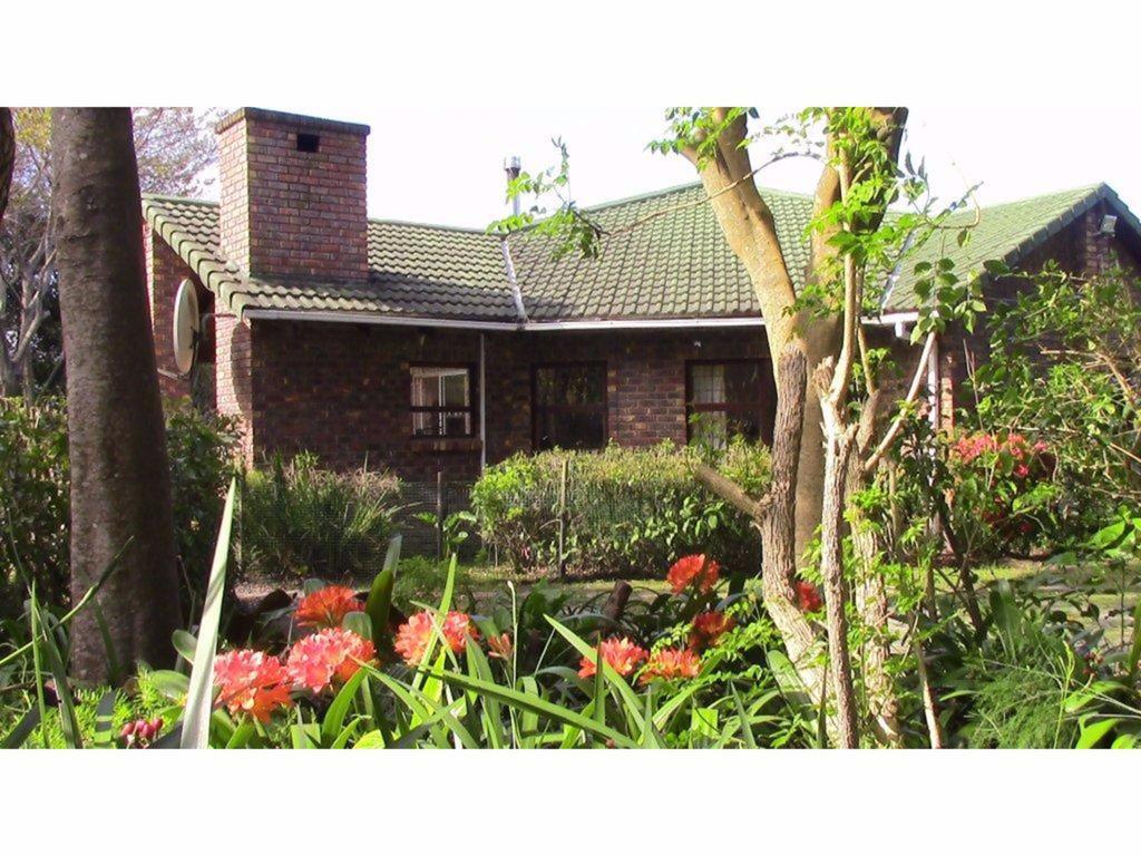 Forest Nest Cottage, Tsitsikamma Stormsrivier Buitenkant foto