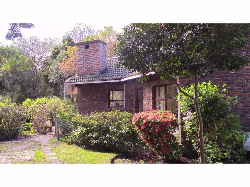 Forest Nest Cottage, Tsitsikamma Stormsrivier Buitenkant foto