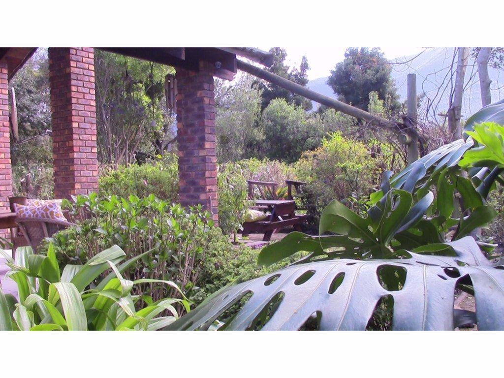 Forest Nest Cottage, Tsitsikamma Stormsrivier Buitenkant foto