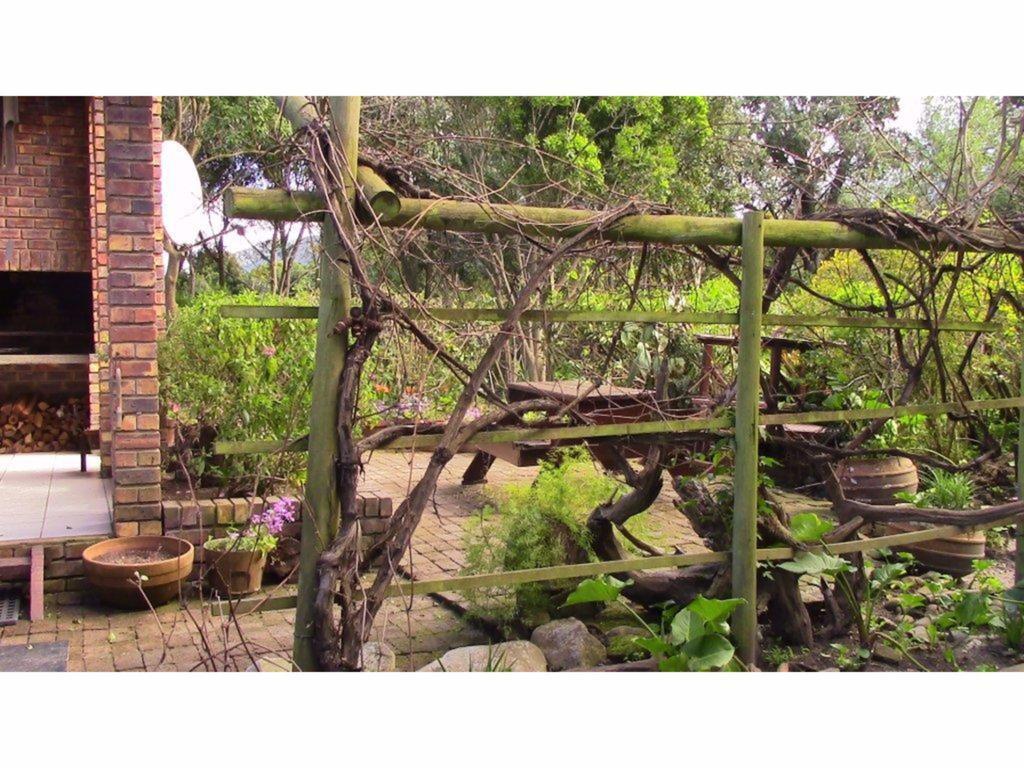 Forest Nest Cottage, Tsitsikamma Stormsrivier Buitenkant foto