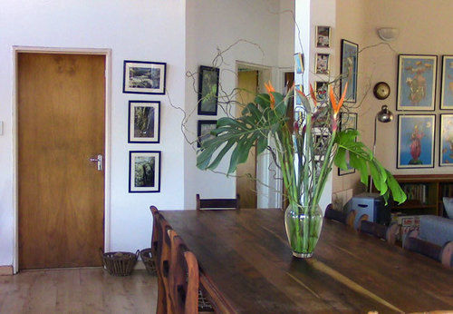 Forest Nest Cottage, Tsitsikamma Stormsrivier Buitenkant foto